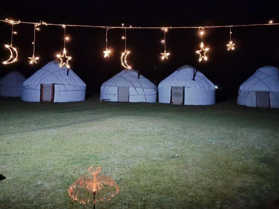 Zalkar Yurt Camp Hotel Song-Kul Buitenkant foto