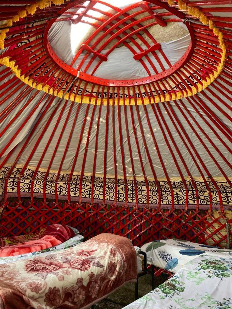 Zalkar Yurt Camp Hotel Song-Kul Buitenkant foto